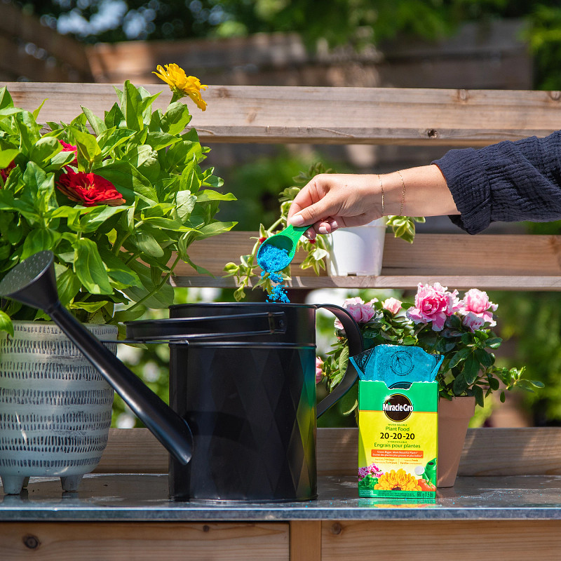 Water Soluble Plant Food 20-20-20 | ScottsMiracle-Gro CA